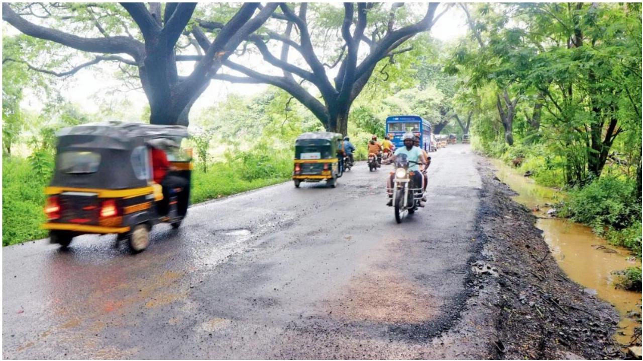 वन विभाग का बड़ा फैसला