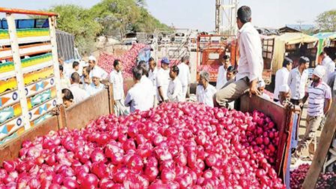 फाइल फोटो