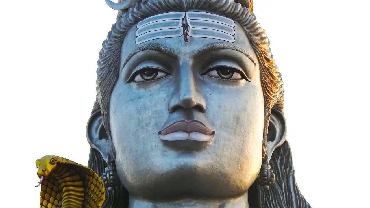 प्रतिकात्मक तस्वीर
