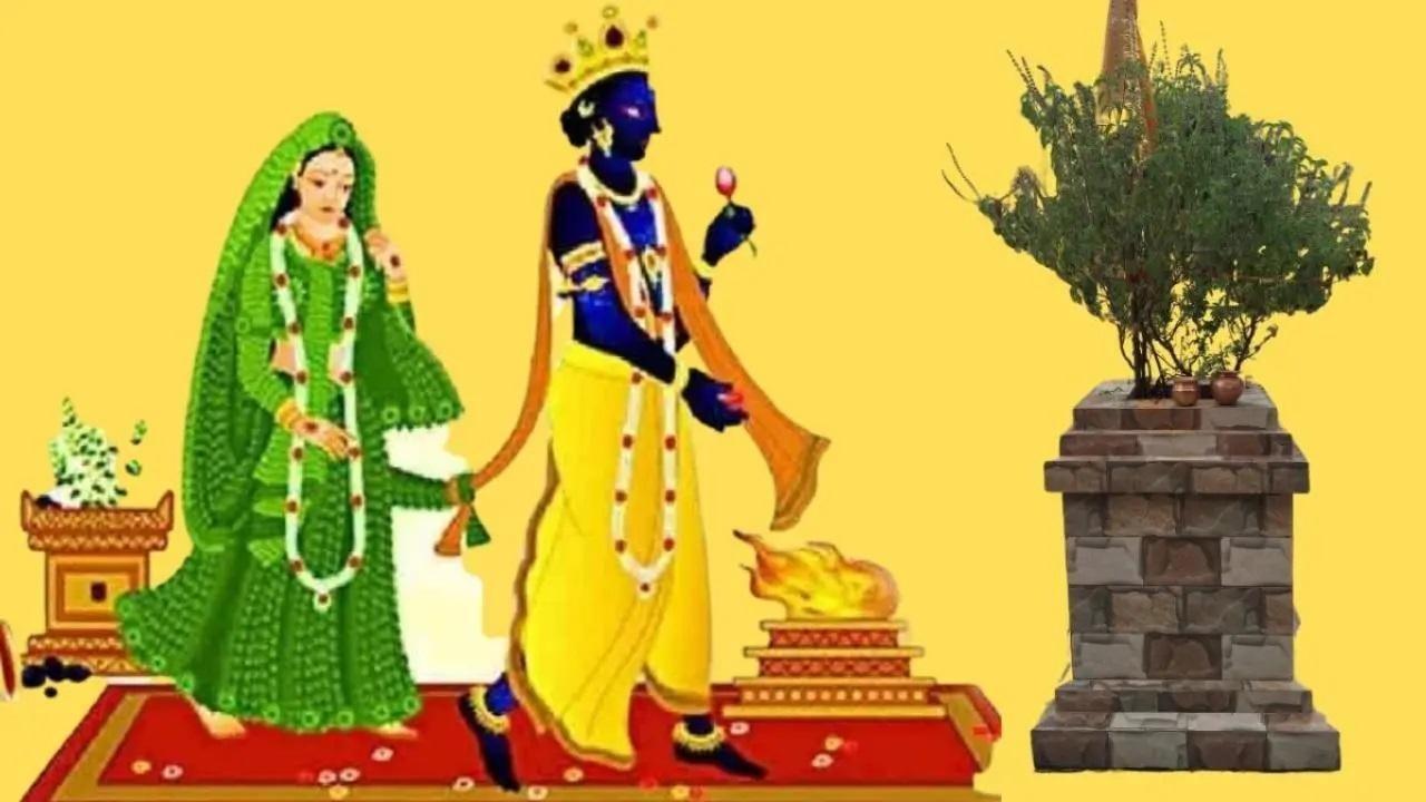 प्रतिकात्मक तस्वीर