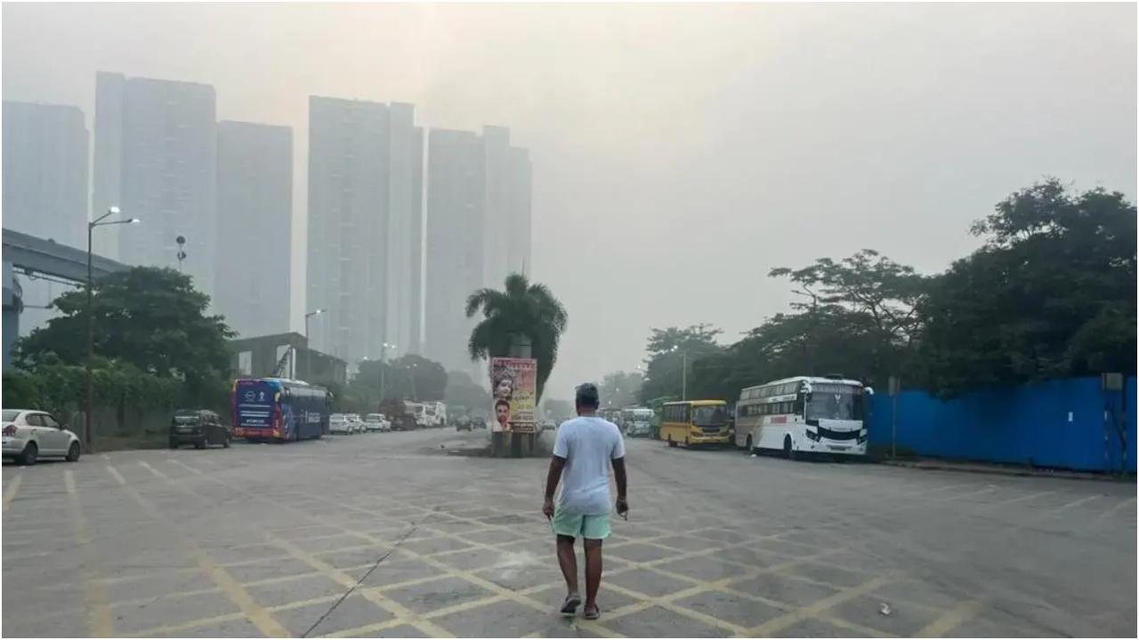 हवा में पीएम 2.5, पीएम 10, ओजोन और अन्य प्रदूषकों जैसे सूक्ष्म कणों के संपर्क में वृद्धि से सीओपीडी वाले व्यक्तियों में श्वसन संबंधी समस्याएं बढ़ जाती हैं.