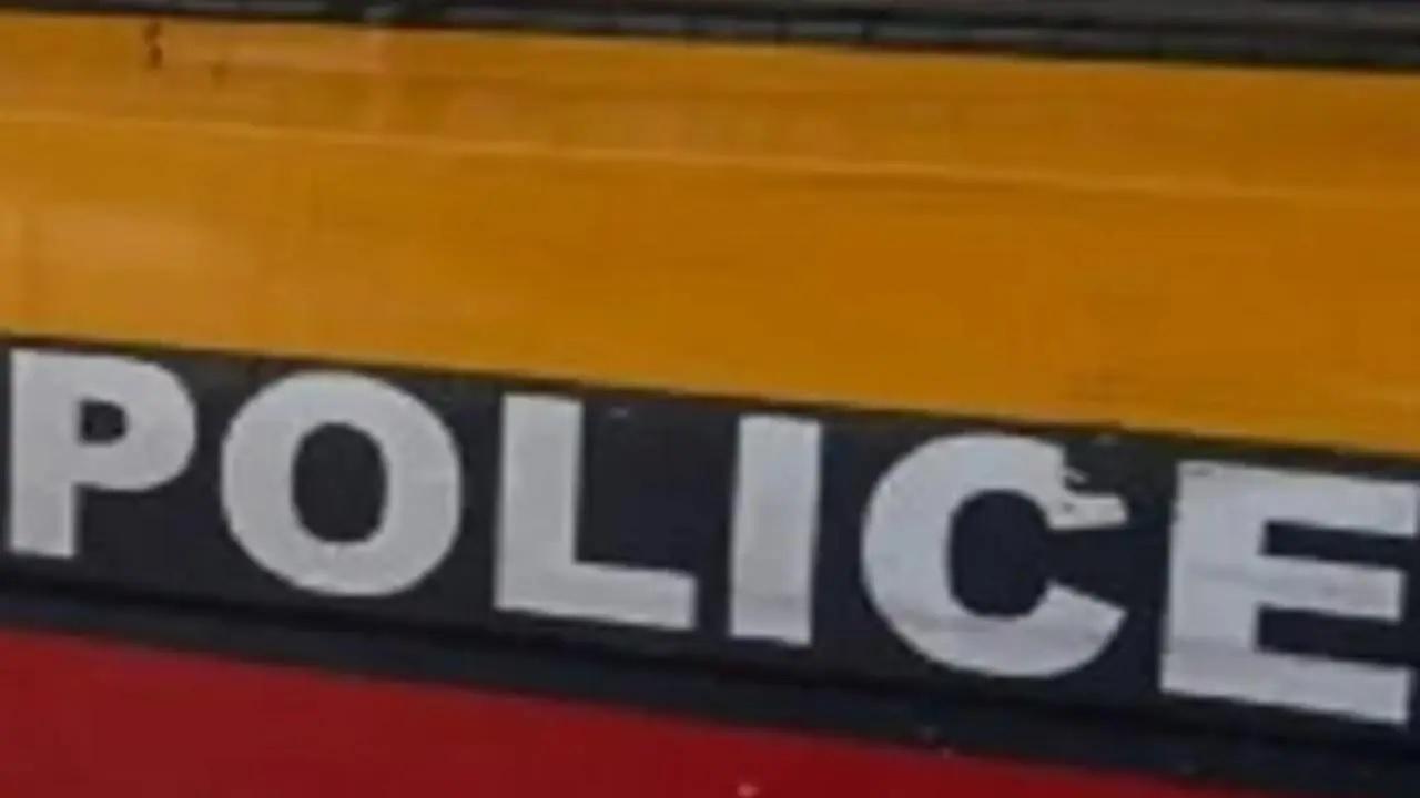 प्रतिकात्मक तस्वीर