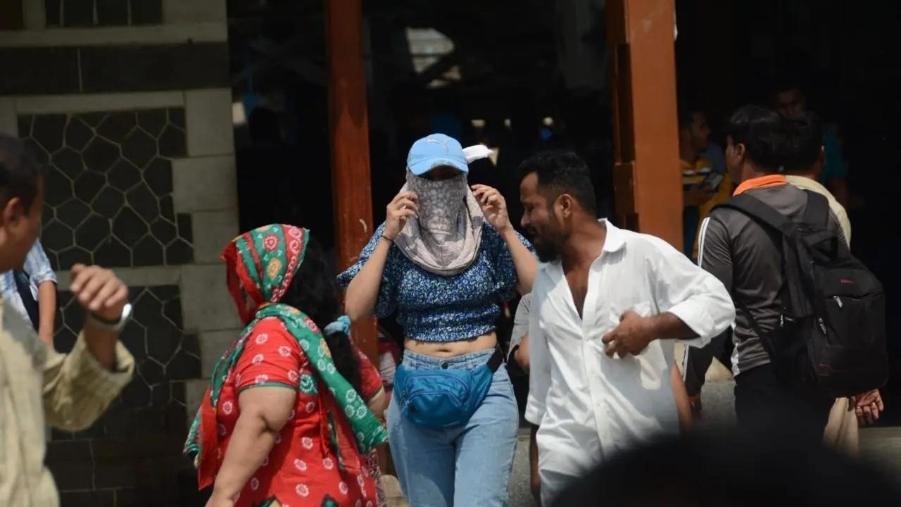 सभी फोटोज़/ समीर आबेदी