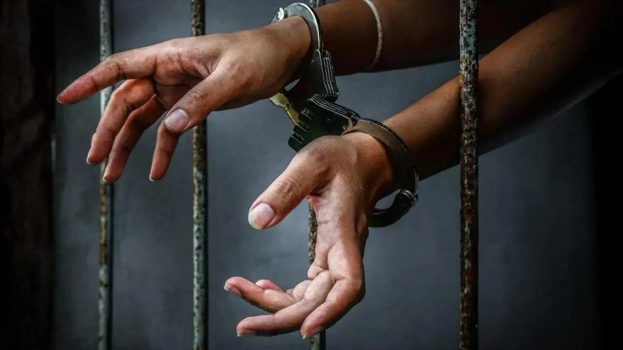 प्रतिकात्मक तस्वीर