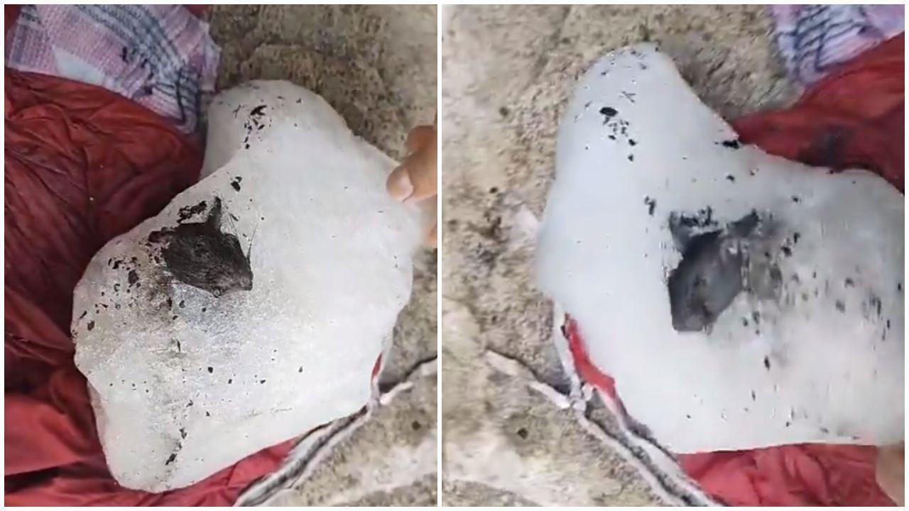 एक वीडियो भी सोशल मीडिया पर तेजी से वायरल हो रहा है.