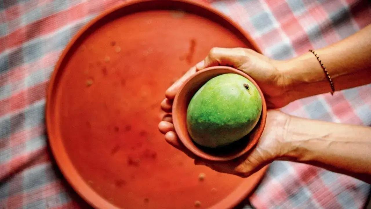 अवक्कई आम का अचारदक्षिण भारत की विविधता का जश्न मनाते हुए, बेंगलुरु में क्लार्क्स एक्सोटिका कन्वेंशन रिज़ॉर्ट एंड स्पा के कार्यकारी शेफ सुरेश बाबू कहते हैं, आप अवक्कई आम का अचार बना सकते हैं. दिलचस्प बात यह है कि अवा का मतलब सरसों है, काया का मतलब कच्चा या कच्चा फल या सब्जी है. इसे आमतौर पर सरसों के बीज, लाल मिर्च पाउडर, नमक और तेल के साथ बनाया जाता है. बाबू का कहना है कि आप इसे दक्षिण भारतीय भोजन के साथ परोस सकते हैं या वास्तव में प्रामाणिक अनुभव के लिए इसे उबले हुए चावल और घी या साधारण दही चावल के साथ परोस सकते हैं. अचार बनाने के लिए कच्चे आम, सरसों पाउडर, लाल मिर्च पाउडर, नमक, मेथी दाना, तिल का तेल, सूखी लाल मिर्च, राई, हींग और करी पत्ता लें. Image for representational purposes only.