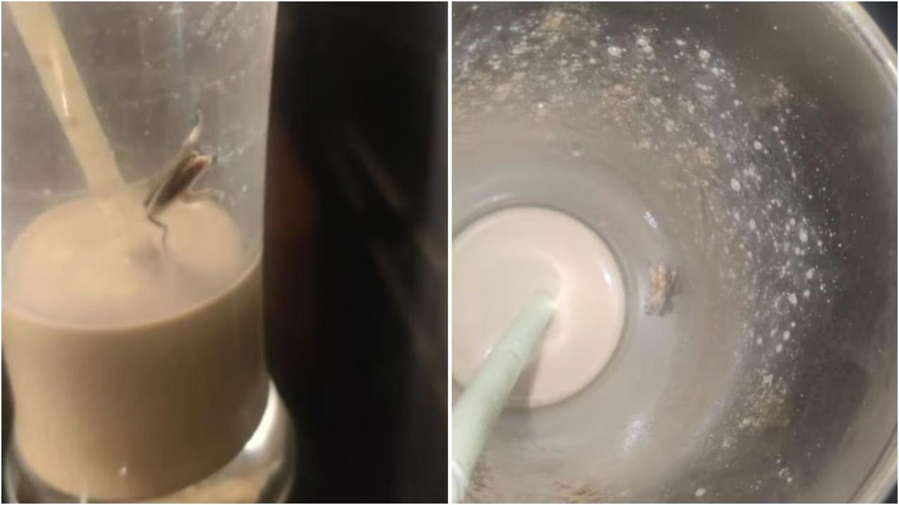 होटल की कोल्ड कॉफी में निकला कॉकरोच (तस्वीर: सोशल मीडिया)