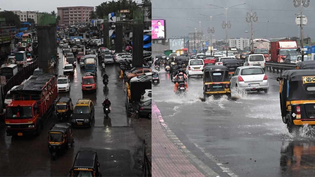सभी फोटो/समीर आबेदी