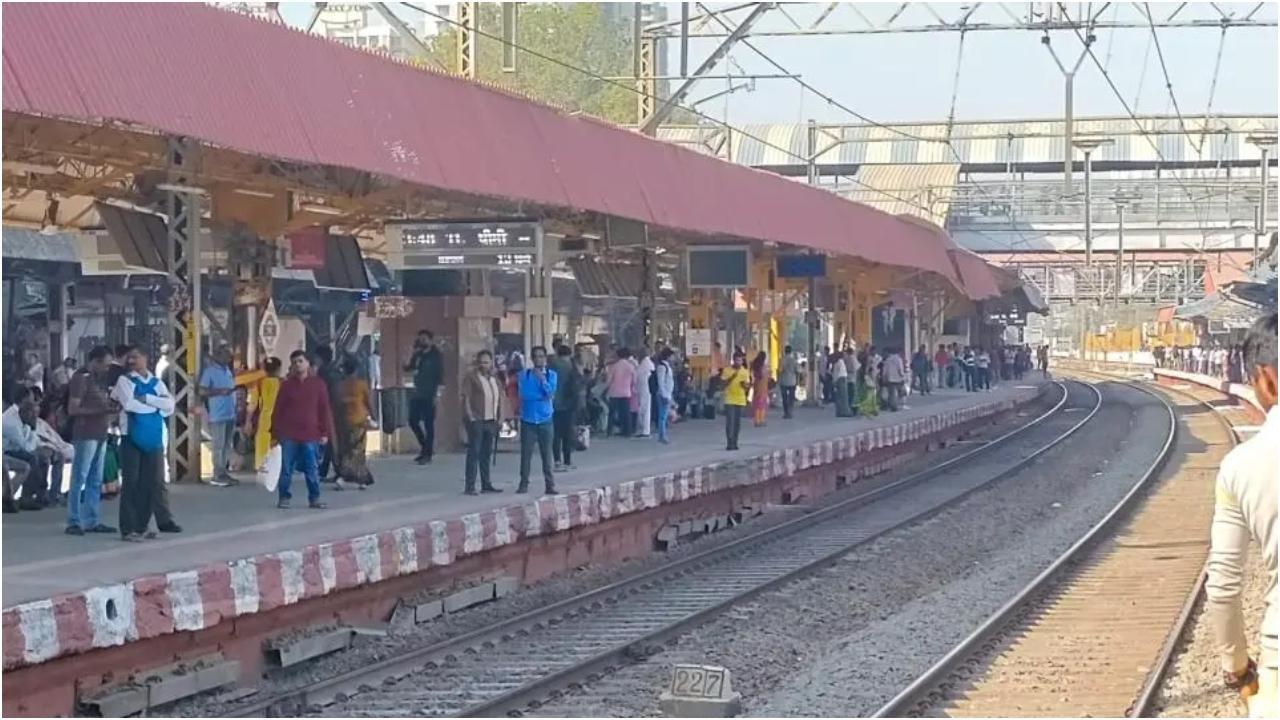 फ़ाइल चित्र/मिड-डे