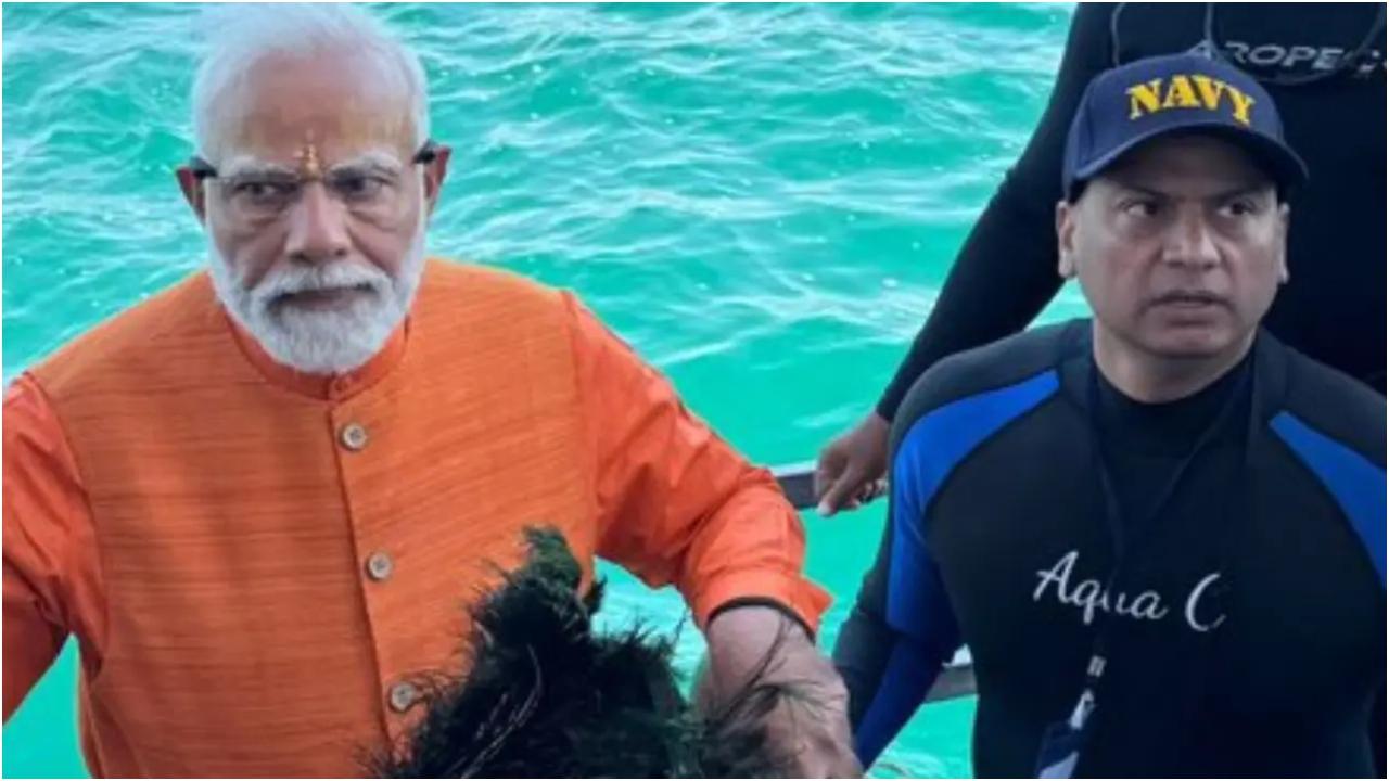 स्कूबा डाइविंग बेयट द्वारका द्वीप के पास द्वारका के तट पर आयोजित की जाती है, जहां पुरातत्वविदों द्वारा खुदाई किए गए प्राचीन द्वारका के पानी के नीचे के अवशेष देखे जा सकते हैं.
