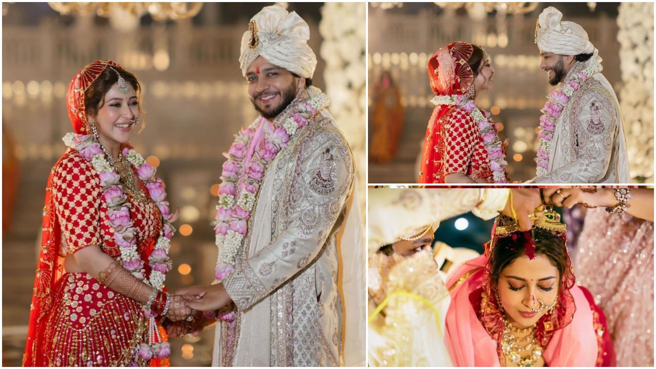 टीवी की बोल्ड एक्ट्रेस सोनारिका भदौरिया और विकास पाराशर अब शादीशुदा हैं. Sonarika Bhadoria/instagram