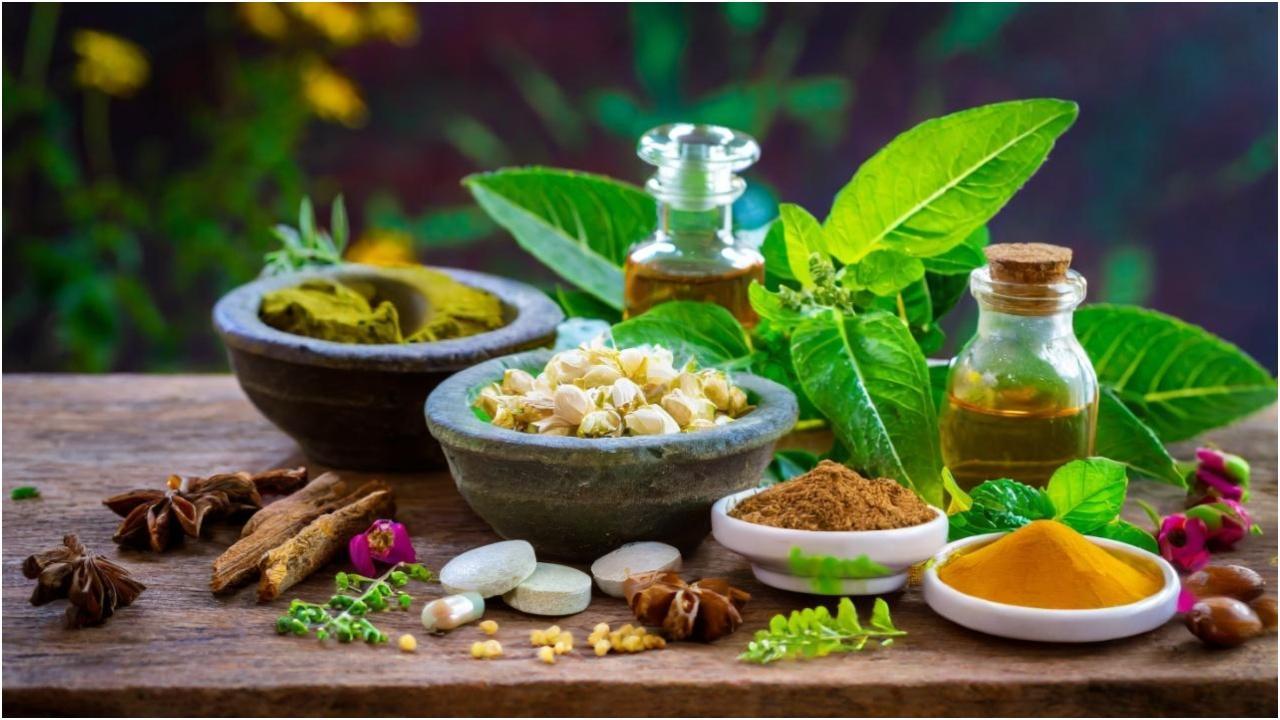 प्रणाली के प्राकृतिक और समग्र दृष्टिकोण से प्रेरित होकर, दुनिया भर के मरीज़ किडनी की विफलता, किडनी की पथरी और संक्रमण जैसी किडनी की बीमारियों के लिए भारत में आयुर्वेदिक उपचार की मांग कर रहे हैं.