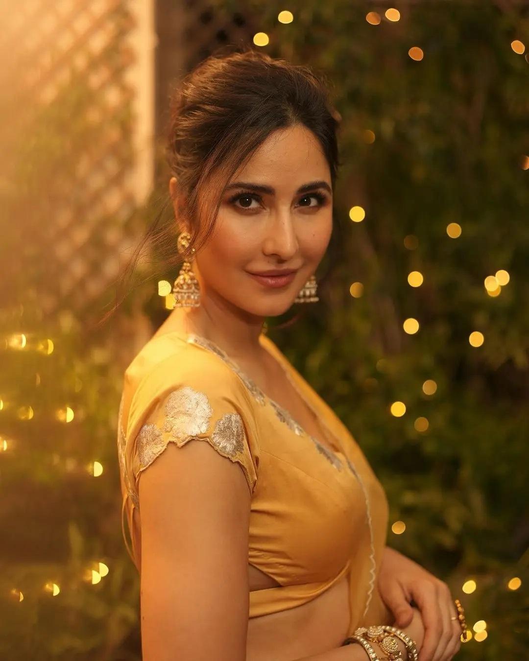 आप देख सकती है कि स्टाइलिश कटआउट ब्लाउज, डीप नेकलाइन और आकर्षक सुनहरे झुमके के साथ उनका लुक शानदार लग रहा है. 
