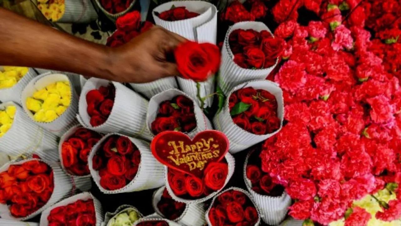 प्रतिकात्मक तस्वीर