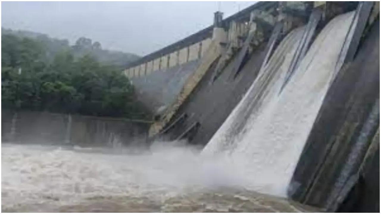 रिप्रेजेंटेटिव इमेज