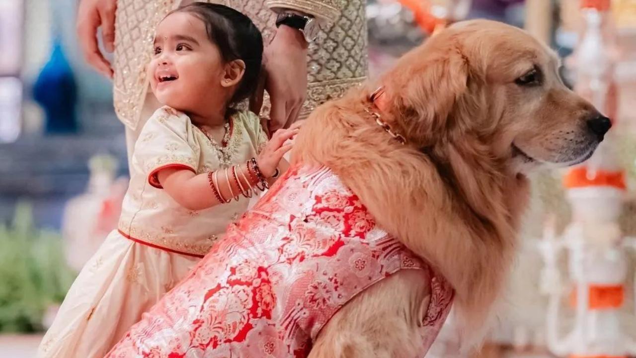 ईशा अंबानी की बेटी आध्याशक्ति गोल्डन रिट्रीवर पालतू कुत्ते हैप्पी के साथ (छवि सौजन्य: इंस्टाग्राम)