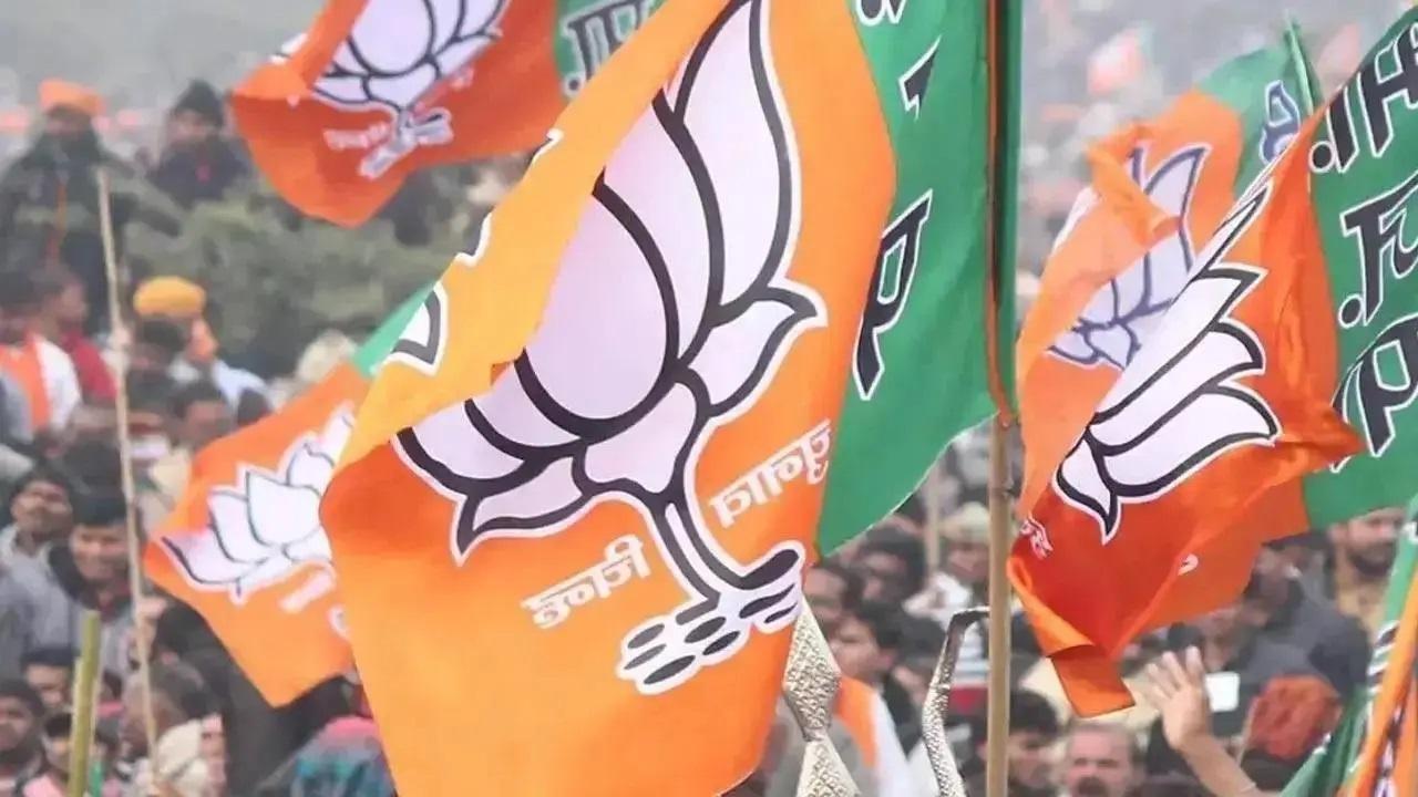 प्रतिकात्मक तस्वीर