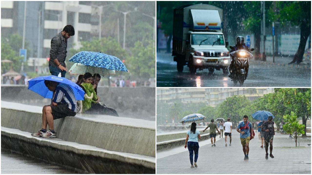 शहर का अधिकतम तापमान 33 डिग्री सेल्सियस और न्यूनतम तापमान 26 डिग्री सेल्सियस रहने की संभावना है. (Pics/Shadab Khan and Satej Shinde)