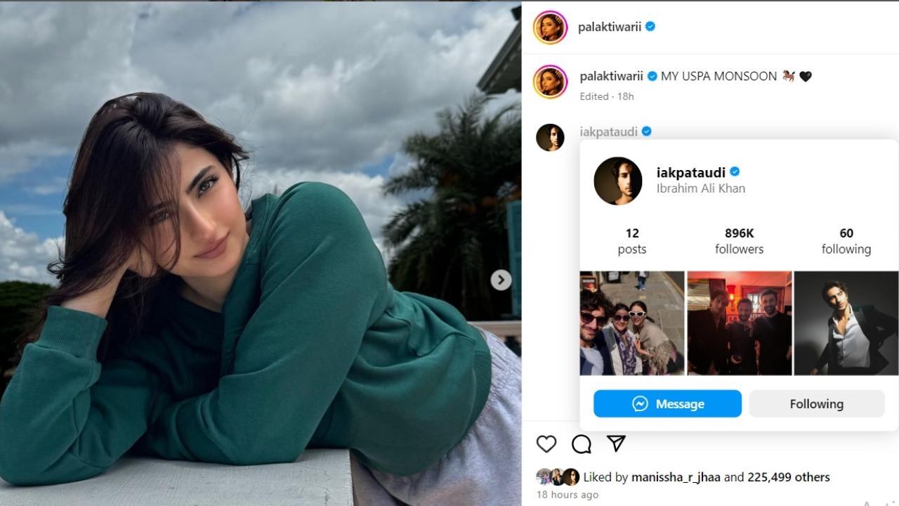 पलक ने इन खूबसूरत तस्वीरों को शेयर करते हुए कैप्शन में लिखा कि `मेरा यूएसपीए मानसून.` फिर क्या था इब्राहिम ने फायर वाला इमोजी शेयर करते हुए लुकिंग गुड लिख कर कमेंट्स किया. 