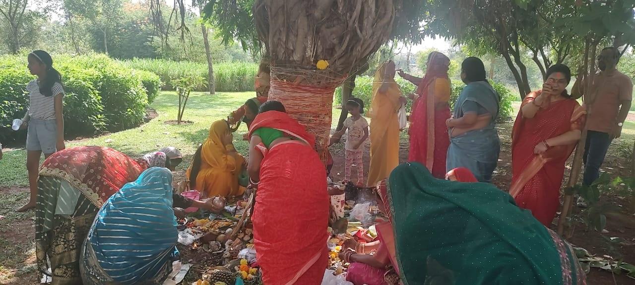सभी महिलाएं समूह में पूजन करती हैं. इस दौरान गेंहूं आदि से गोद भी भरी जाती है.