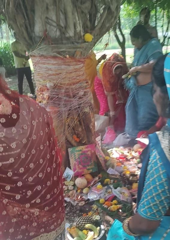 फल फूल के साथ आम, खरबूजा, पंखा और श्रृंगार आदि का सामान भी चढ़ाया जाता है. 