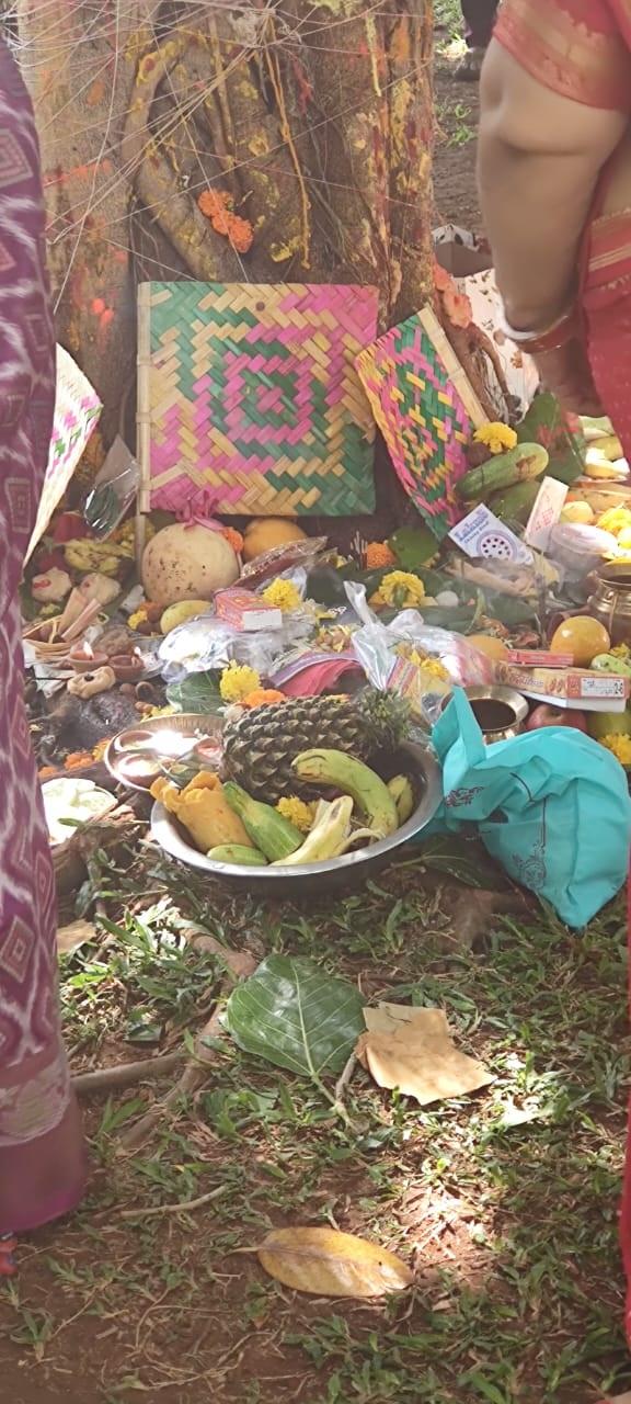 उत्तर भारत में वट सावित्री का व्रत अमावस्या तिथि को रखा जाता है. इसके अलावा पूर्णिमा तिथि को भी पूरे देश में वट सावित्री व्रत महिलाएं करती हैं.