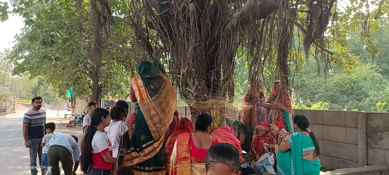 बरगद के पेड़ की आयु बहुत अधिक मानी जाती है, इसलिए इसी वृक्ष से लंबी आयु के वरदान की कामना महिलाएं करती हैं.