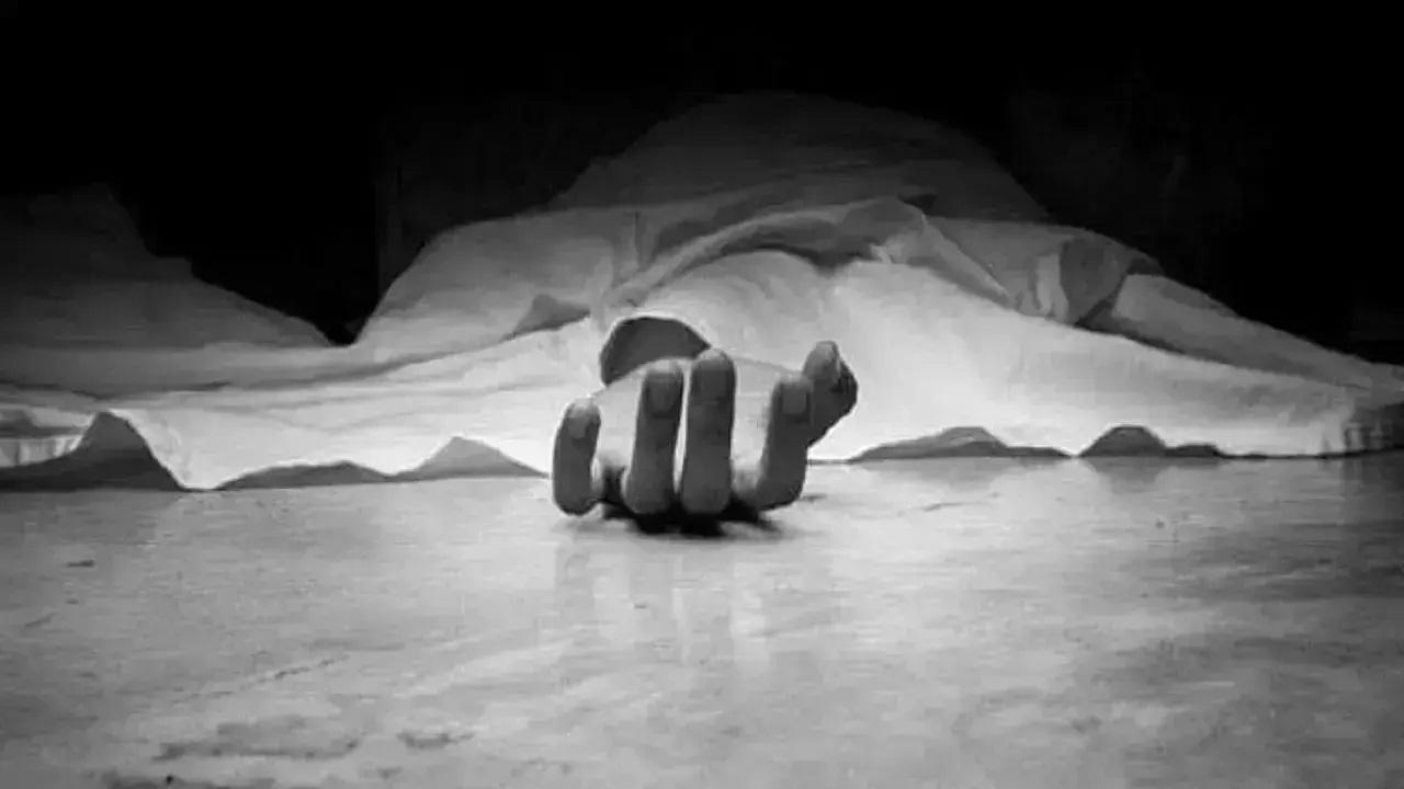 प्रतिकात्मक तस्वीर