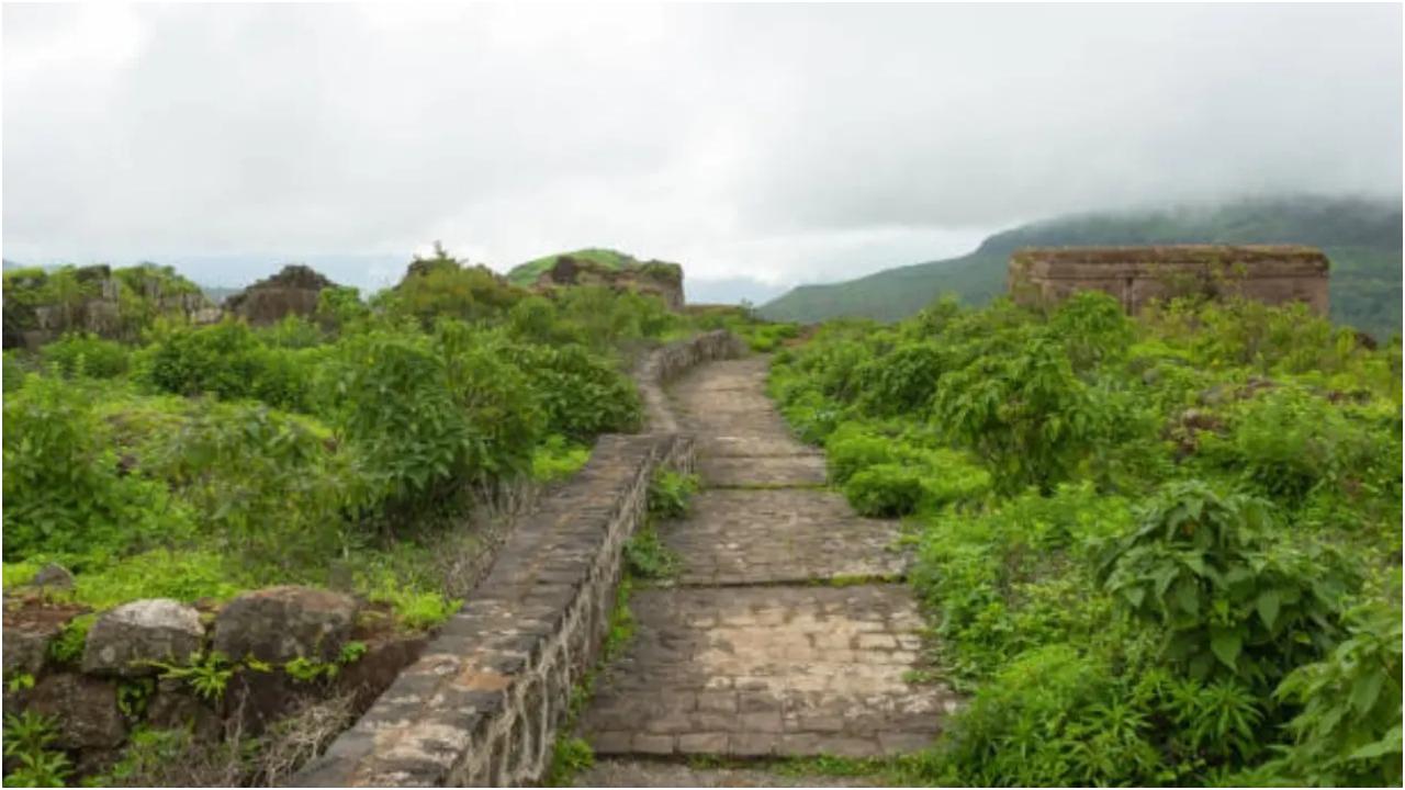 हटगड, नासिक
हटगड के बारे में बहुत से लोग नहीं जानते हैं, जो इसे मुंबई से सप्ताहांत की छुट्टियों के लिए एक अनोखी पसंद बनाता है. हटगढ़ का सुरम्य हिल स्टेशन शानदार सापुतारा झील का भी घर है. परिवार आराम करने और शहर से थोड़ी दूर बाहर आने के अनुभव का आनंद लेने के लिए आते हैं क्योंकि यह गुजरात के भी करीब है. दर्शनीय स्थलों की यात्रा, हेरिटेज ट्रेल्स, रोपवे की सवारी और स्थानीय भोजन का अनुभव कुछ ऐसी चीजें हैं जिनका इंतजार करना चाहिए. महाराष्ट्र का एक गुप्त रहस्य होने के नाते, यहाँ आनंद लेने के लिए कई भव्य प्राकृतिक आश्चर्य हैं जैसे सुंदर दृश्य, तेज़ झरने, हरी-भरी हरियाली और भी बहुत कुछ. फोटो सौजन्य: आईस्टॉक