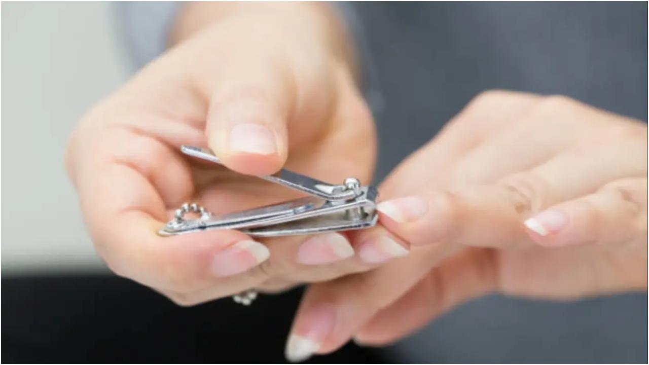 अपने नाखूनों को छोटा रखें: आम तौर पर लंबे नाखूनों की तुलना में छोटे नाखूनों को प्राथमिकता दी जाती है. छोटे नाखूनों की देखभाल करना आसान होता है, साफ करना आसान होता है और गंदगी जमा होने का खतरा कम होता है.