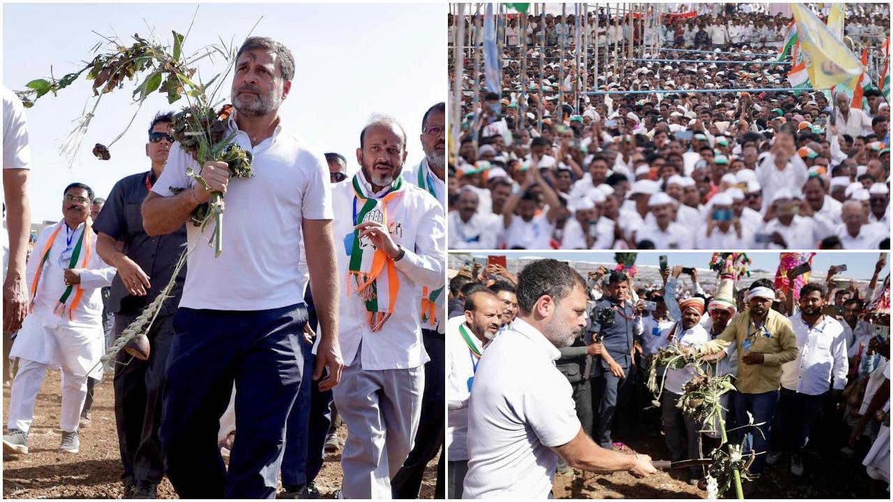 राहुल ने यात्रा के दौरान कहा, `हमारी सरकार हम न केवल वन अधिकार अधिनियम को मजबूत करेंगे बल्कि यह सुनिश्चित करेंगे कि आदिवासियों की समस्या का निपटारा एक साल के भीतर किया जाए. 