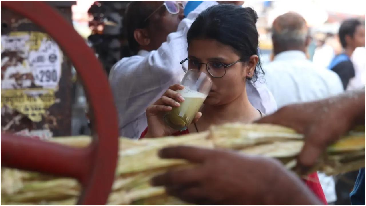 हाइड्रेटेड रहें: गर्मी के महीनों के दौरान हाइड्रेटेड रहने के लिए हर दिन कम से कम 2-3 लीटर पानी पिएं. पानी शरीर से विषाक्त पदार्थों को बाहर निकालता है, अवांछित कैलोरी को बढ़ने से रोकता है और, जब शरीर का आधा तरल पदार्थ पसीने के रूप में निकल जाता है तो शरीर को हाइड्रेट रखता है. अपने शरीर में खोए हुए तरल पदार्थ की पूर्ति के लिए पानी के साथ-साथ फलों का रस, नारियल पानी और नीबू पानी पियें. तस्वीर/अनुराग अहिरे