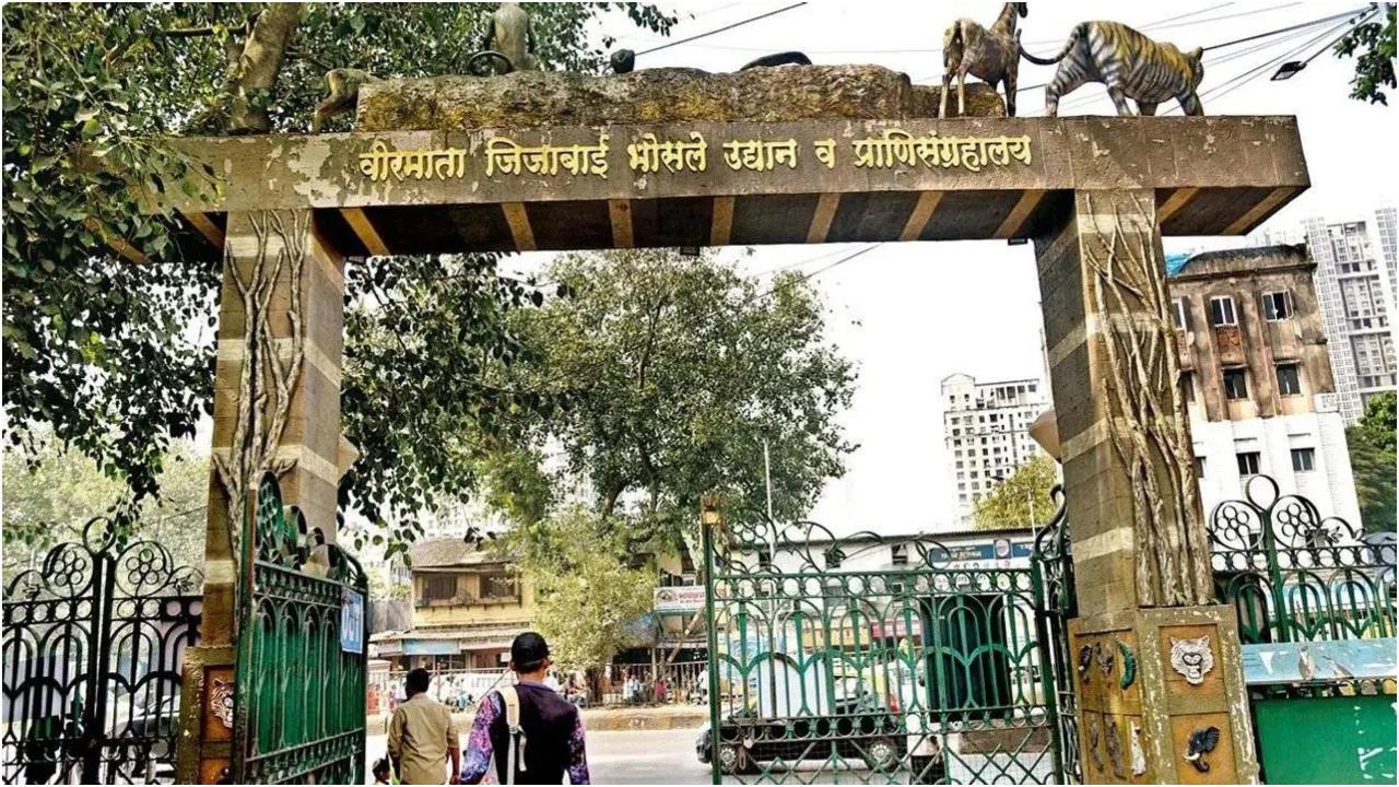फ़ाइल चित्र/समीर मारकंडे