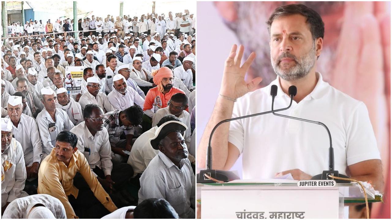 Rahul Gandhi in Maharashtra