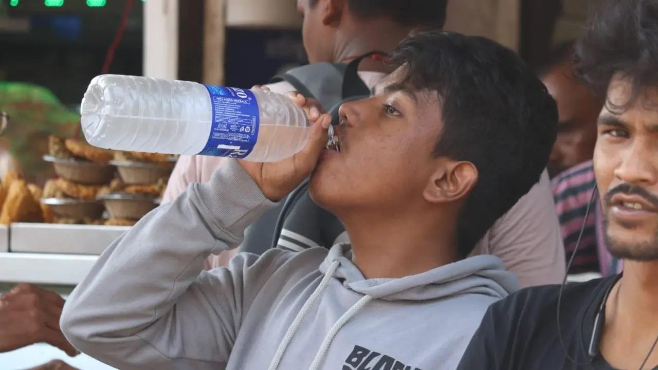 हाइड्रेटेड रहना
आपके शरीर को कठिन मौसम में भी स्वस्थ बनाए रखने के लिए पानी और तरल पदार्थों की निरंतर आपूर्ति की आवश्यकता होगी. हाइड्रेटेड रहने का एक प्राकृतिक तरीका उन फलों और सब्जियों का प्रचुर मात्रा में सेवन करना है जिनमें पानी की मात्रा अधिक होती है - संतरे, तरबूज, टमाटर, आदि. यह आपके शरीर के मुख्य तापमान को संतुलित करने में मदद करता है और बीमारियों को दूर रखता है. यह त्वचा को हाइड्रेट करने और उसे कोमल बनाए रखने में भी मदद करता है. फोटो सौजन्य: अनुराग अहिरे