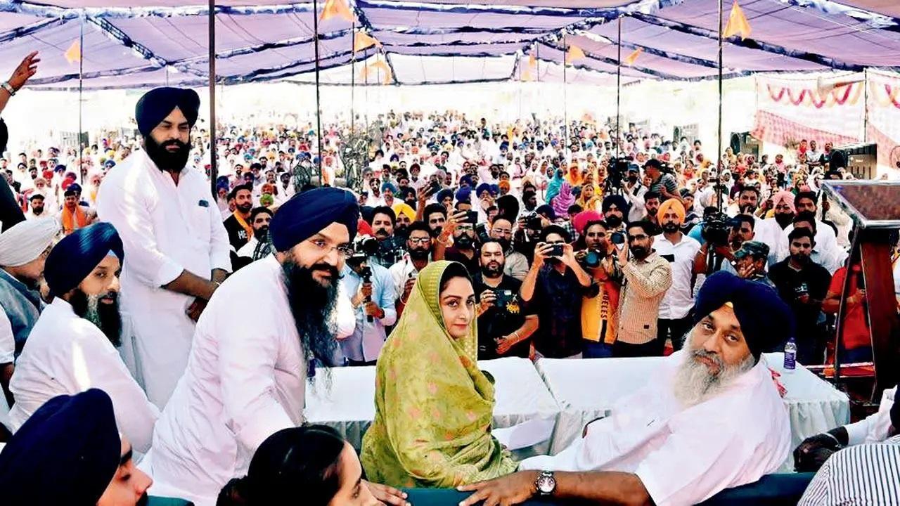 निवर्तमान सांसद हरसिमरत कौर बादल चौथा कार्यकाल चाहती हैं. तस्वीर/फैसल टंडेल