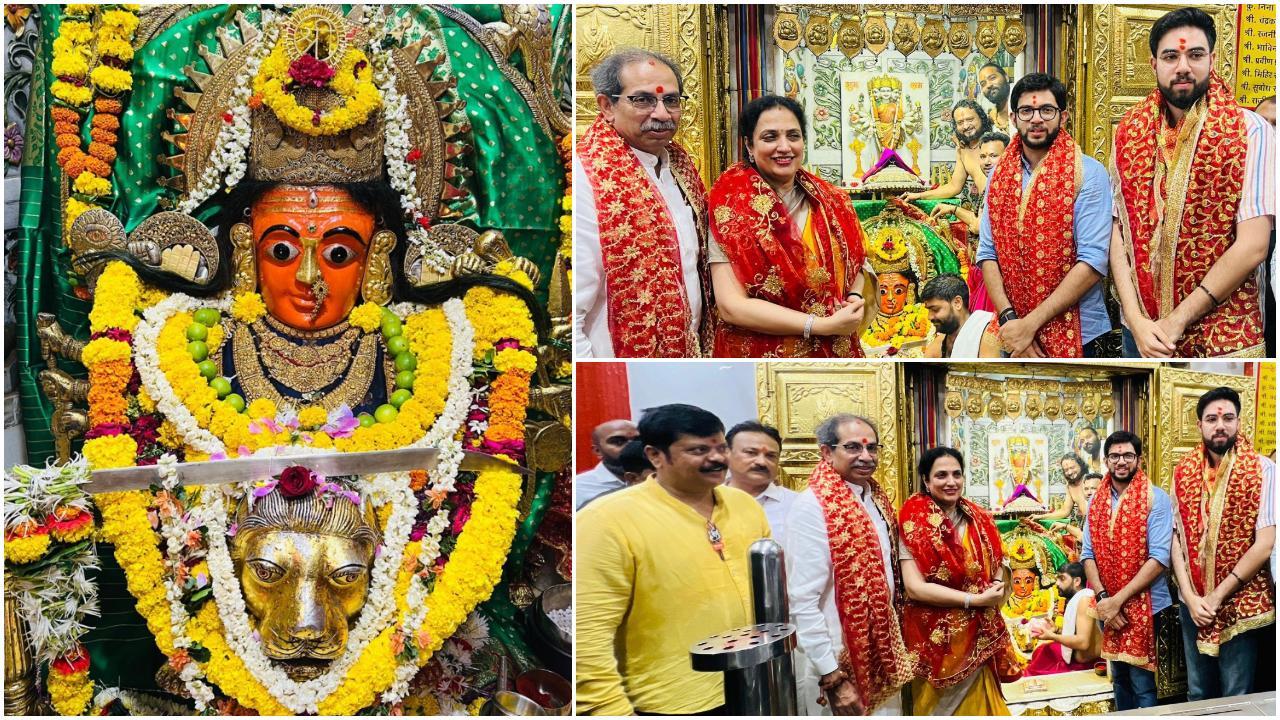 शिवसेना (UBT) प्रमुख उद्धव ठाकरे ने महाविकास अघाड़ी कितनी सीटों पर जीत दर्ज.