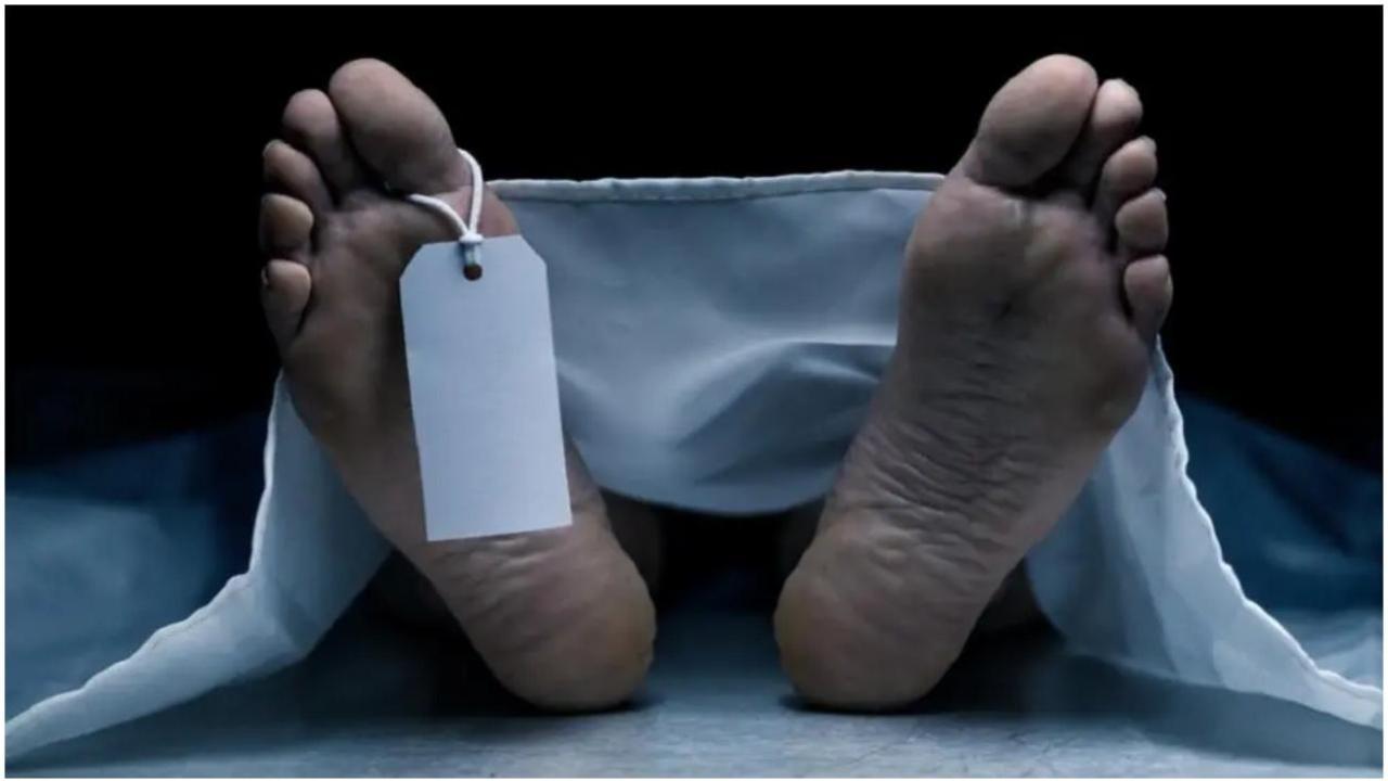 रिप्रेजेंटेटिव इमेज