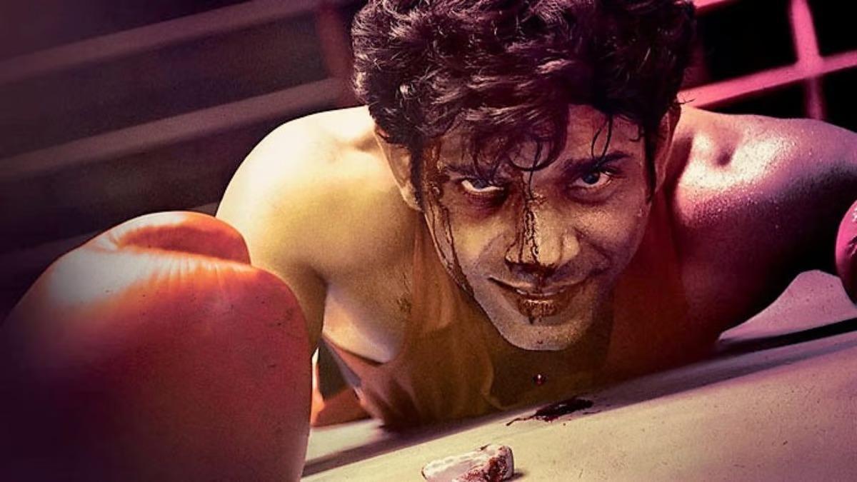 मुक्काबाज़ (2017)निर्देशक: अनुराग कश्यपमुख्य कलाकार: विनीत कुमार सिंह, ज़हीर आईपुराइस फिल्म में विनीत कुमार सिंह ने श्रावण कुमार का किरदार निभाया है, जो एक जुनूनी बॉक्सिंग खिलाड़ी है और अपनी मेहनत, संघर्ष और प्रेम की खातिर सामाजिक अन्याय से जूझता है. फिल्म में रिंग के अंदर और बाहर के संघर्षों को शानदार तरीके से दर्शाया गया है, जहां खिलाड़ी को सिर्फ अपने सपनों को पूरा करने के लिए नहीं, बल्कि समाज के विभिन्न दबावों और शोषणों से भी लड़ा जाता है.