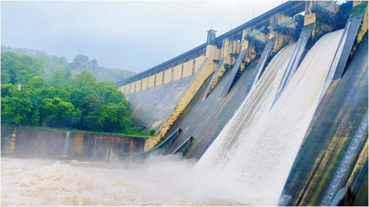 रिप्रेजेंटेटिव इमेज