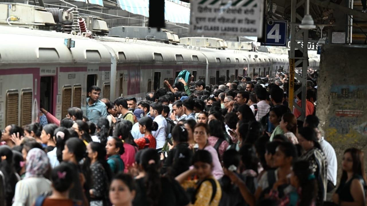 Representational Image (Pics By: Satej Shinde)