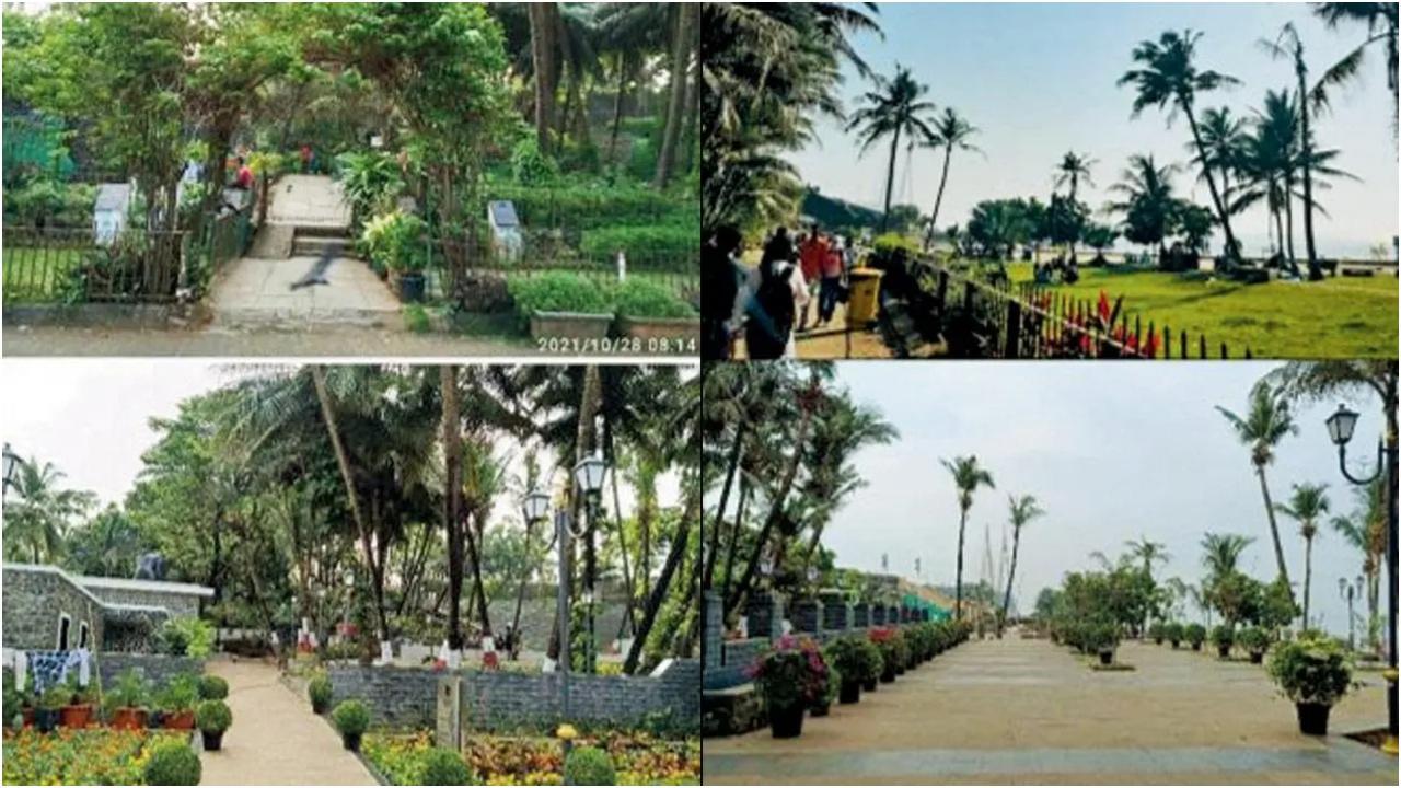स्थानीय लोगों ने अपने पत्र के साथ पहले और बाद की तस्वीरें संलग्न कीं