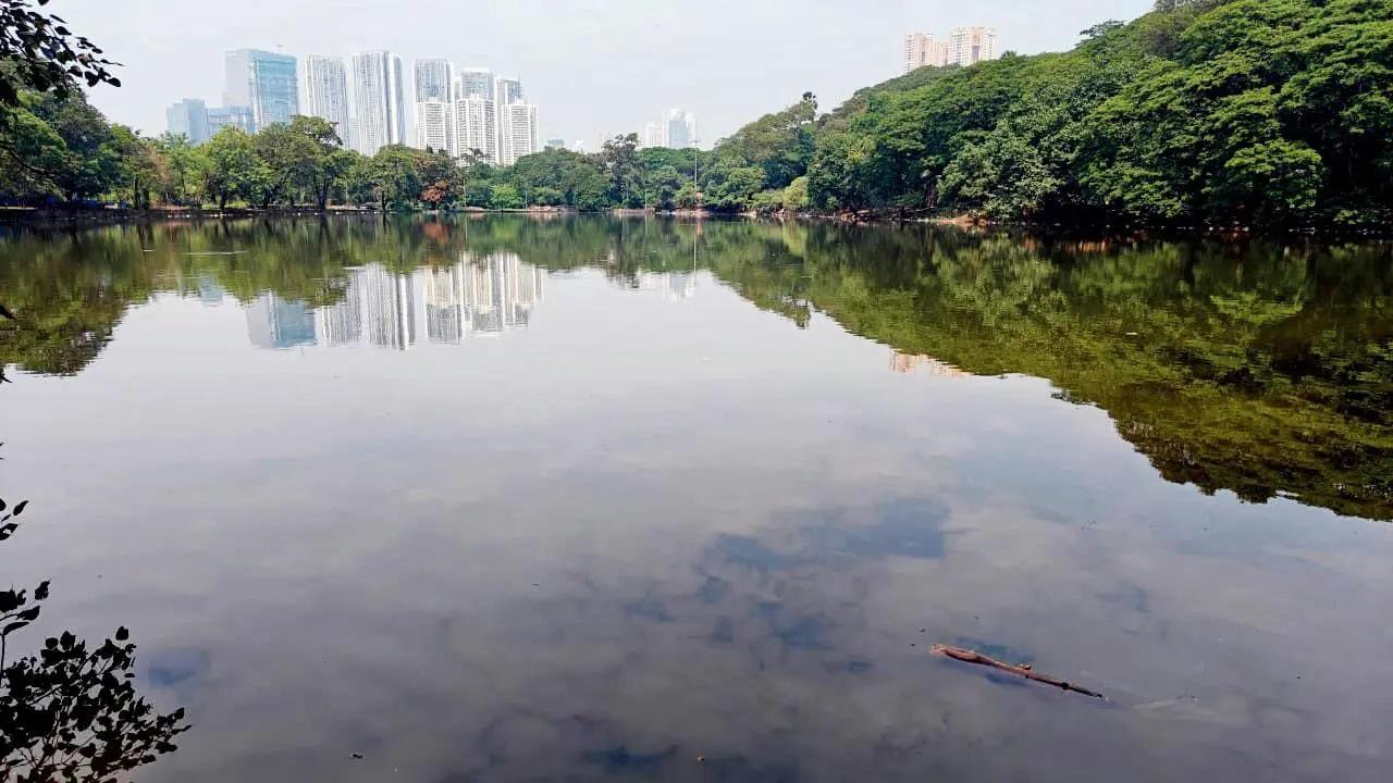 आरे झील के सौंदर्यीकरण की योजना पर विवाद, पर्यावरणविदों ने गाद निकालने को अनावश्यक बताते हुए परियोजना पर सवाल उठाए.