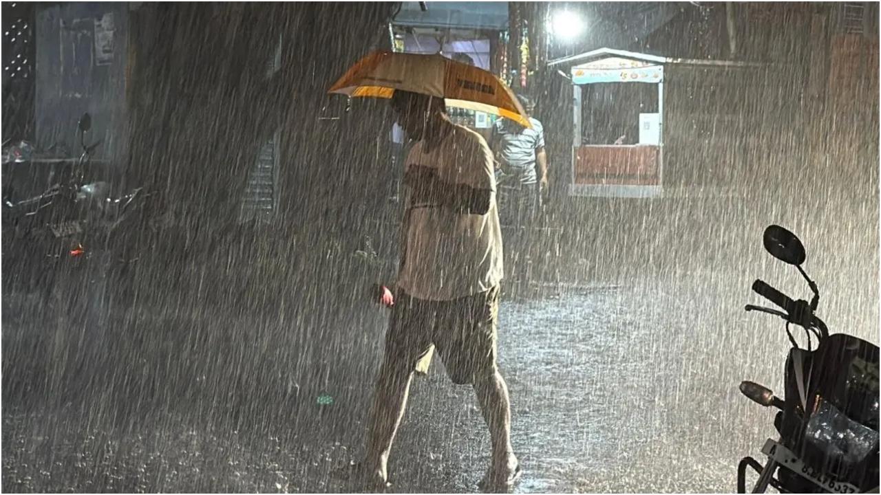 प्रतीकात्मक चित्र/फ़ाइल