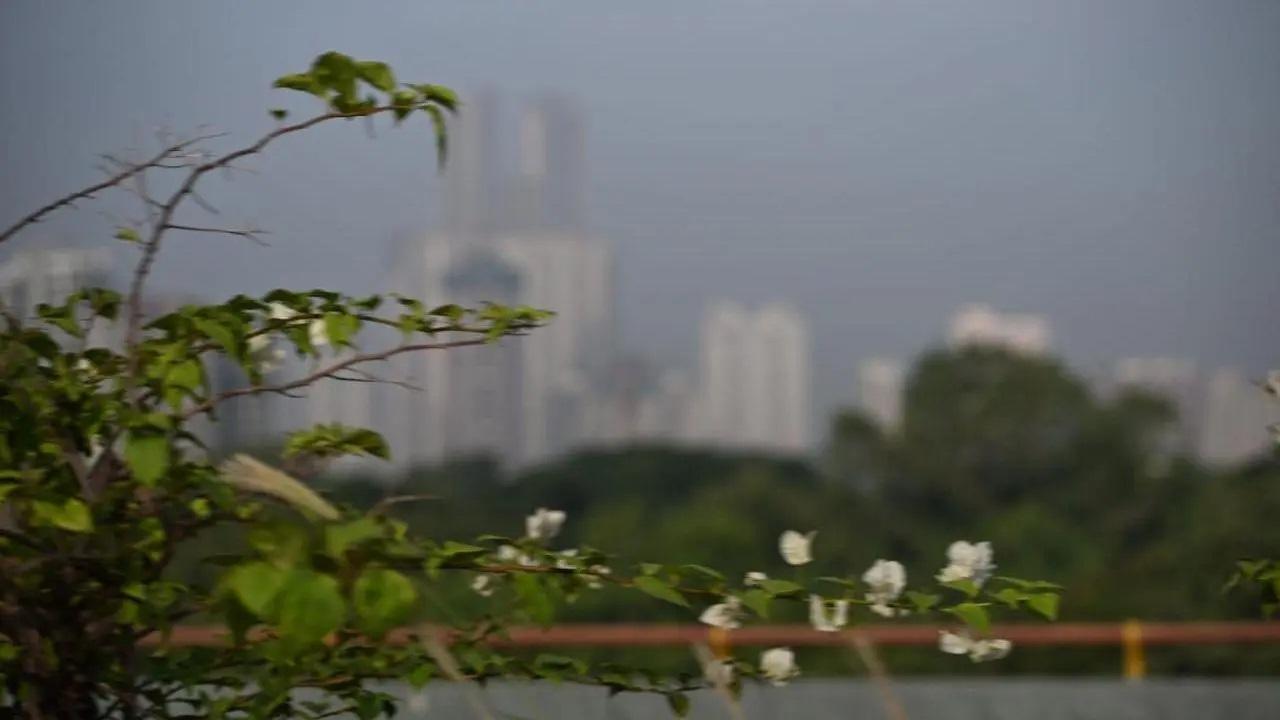 मुंबई मौसम अपडेट के अनुसार, शहर का वर्तमान तापमान 34.9 डिग्री सेल्सियस है और आर्द्रता 90 प्रतिशत है.