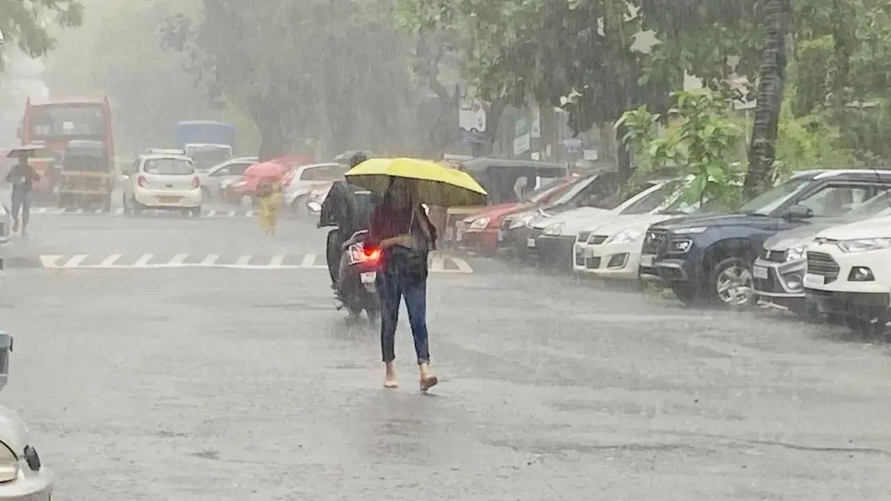 अधिकतम तापमान 32 डिग्री सेल्सियस रहने की उम्मीद है जबकि न्यूनतम तापमान 27 डिग्री सेल्सियस रहने की संभावना है. 