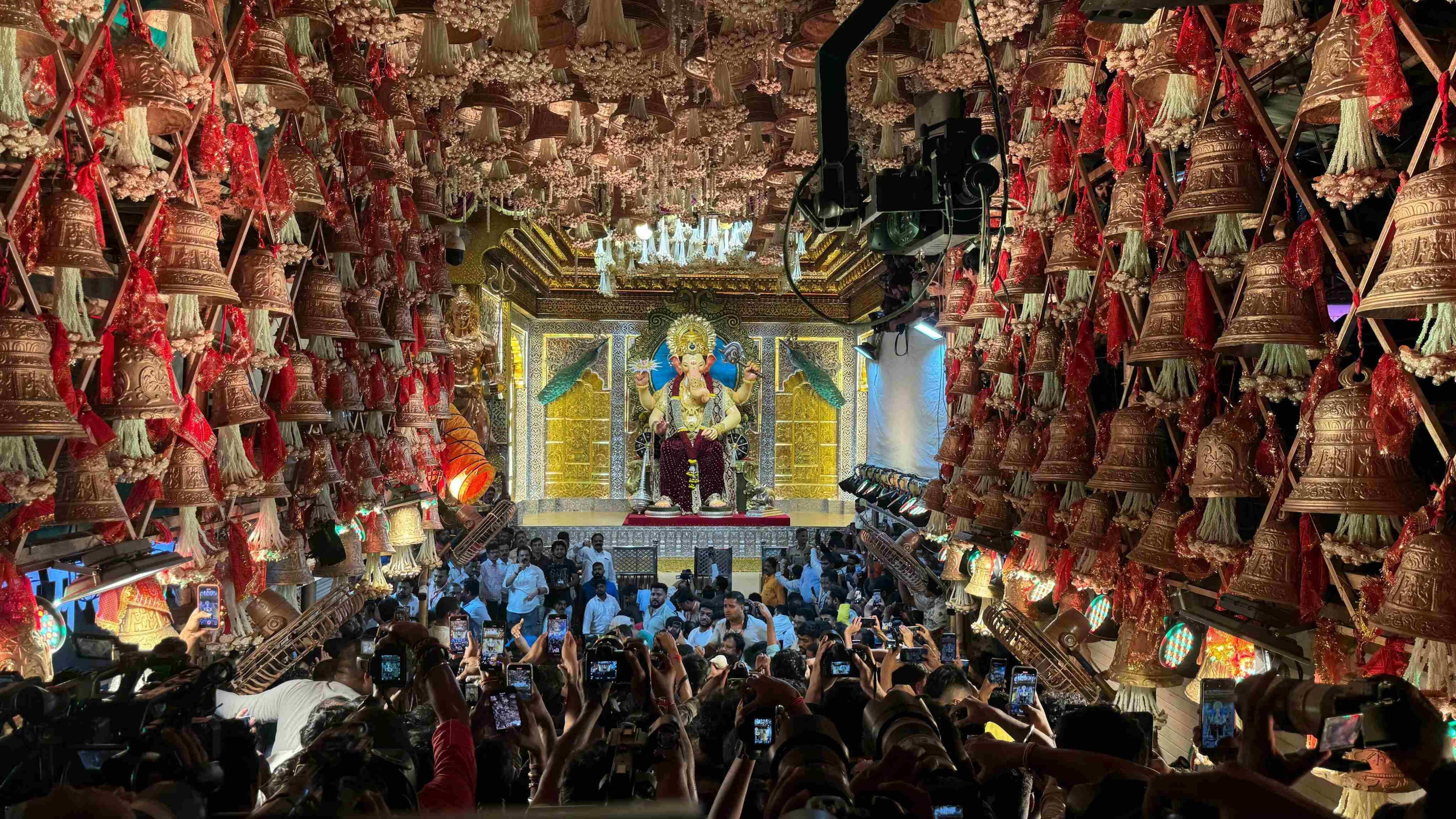 इस वर्ष भी लालबाग के राजा का पारंपरिक राजसी रूप देखने जैसा है, जिसमें उनकी आंखें चमकती नजर आईं और वे मैरून मखमल के पीतांबर में सजे हुए थे. उनके इस भव्य स्वरूप ने सभी को मंत्रमुग्ध कर दिया.