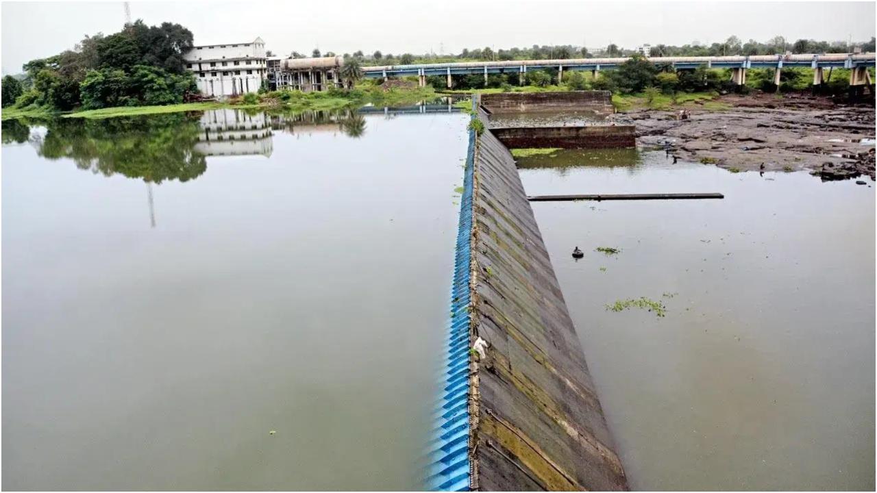 रिप्रेजेंटेटिव इमेज
