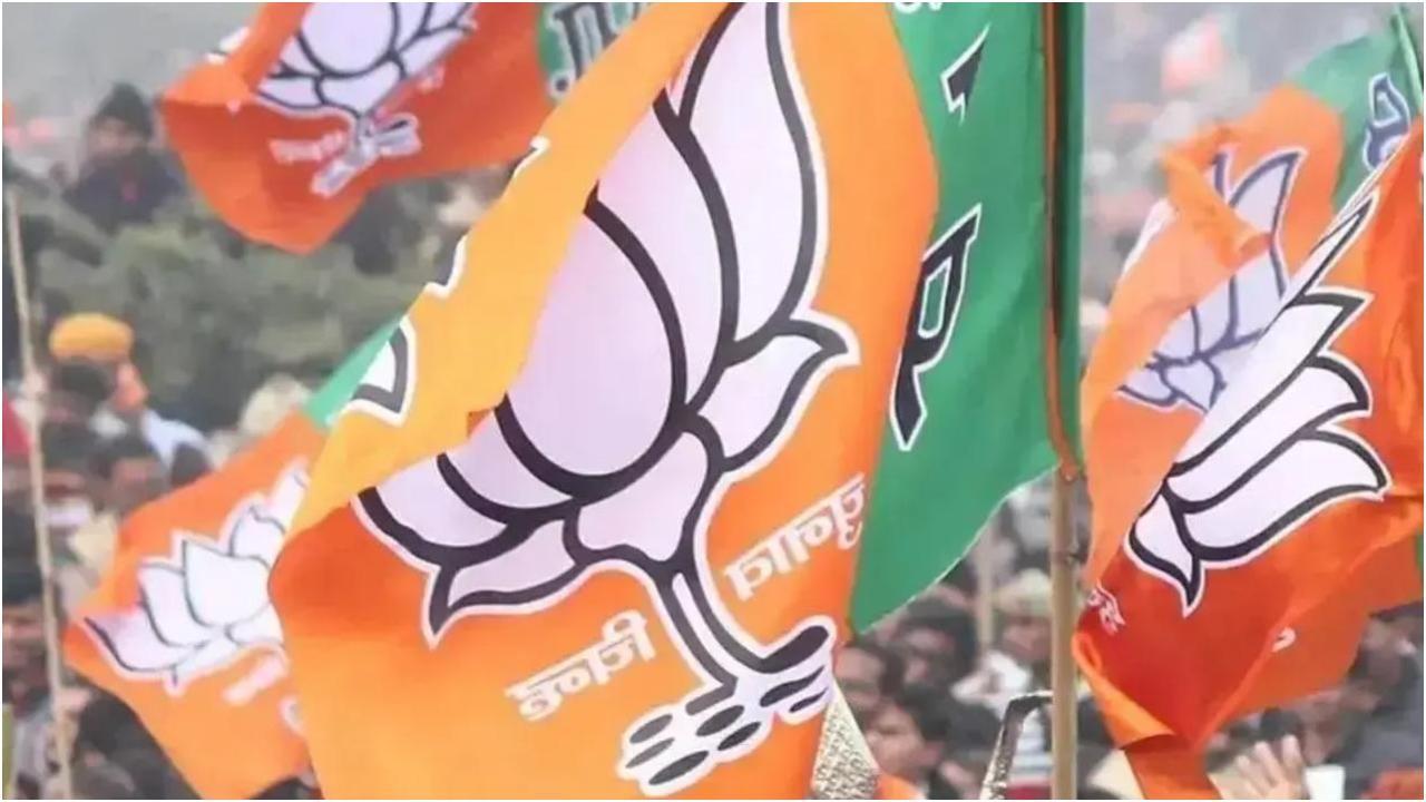 फ़ाइल चित्र