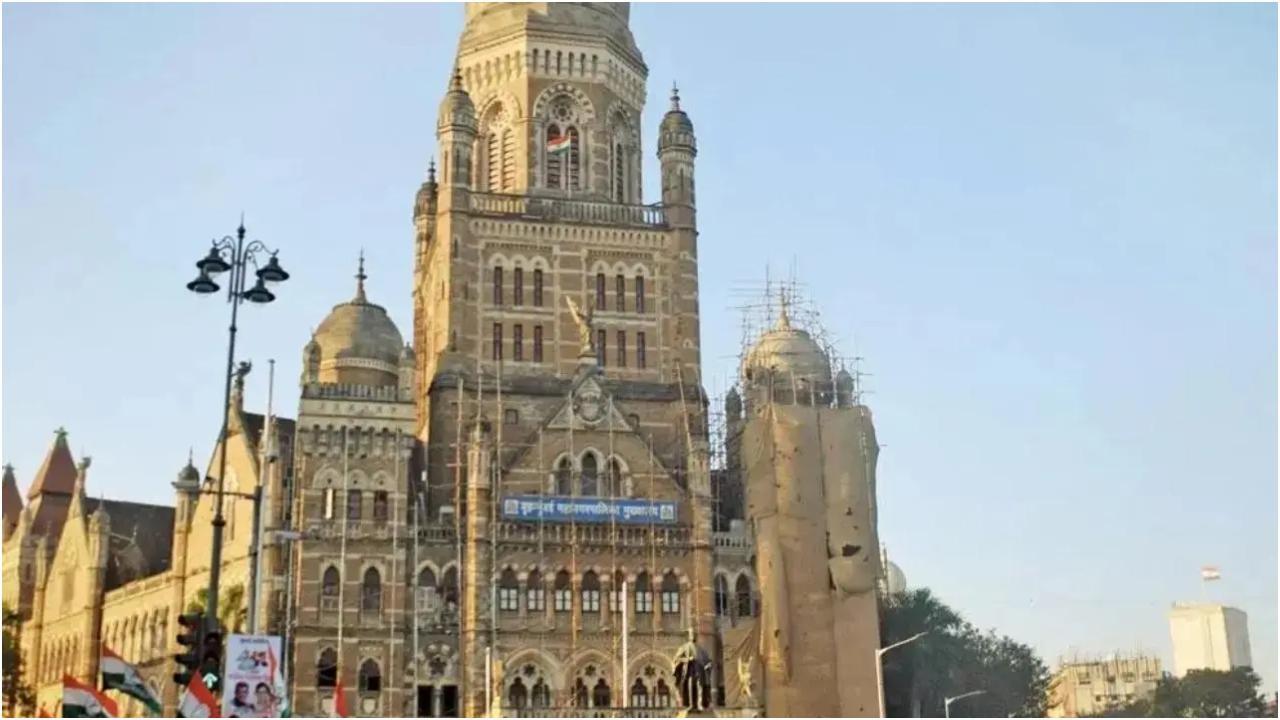 फ़ाइल चित्र